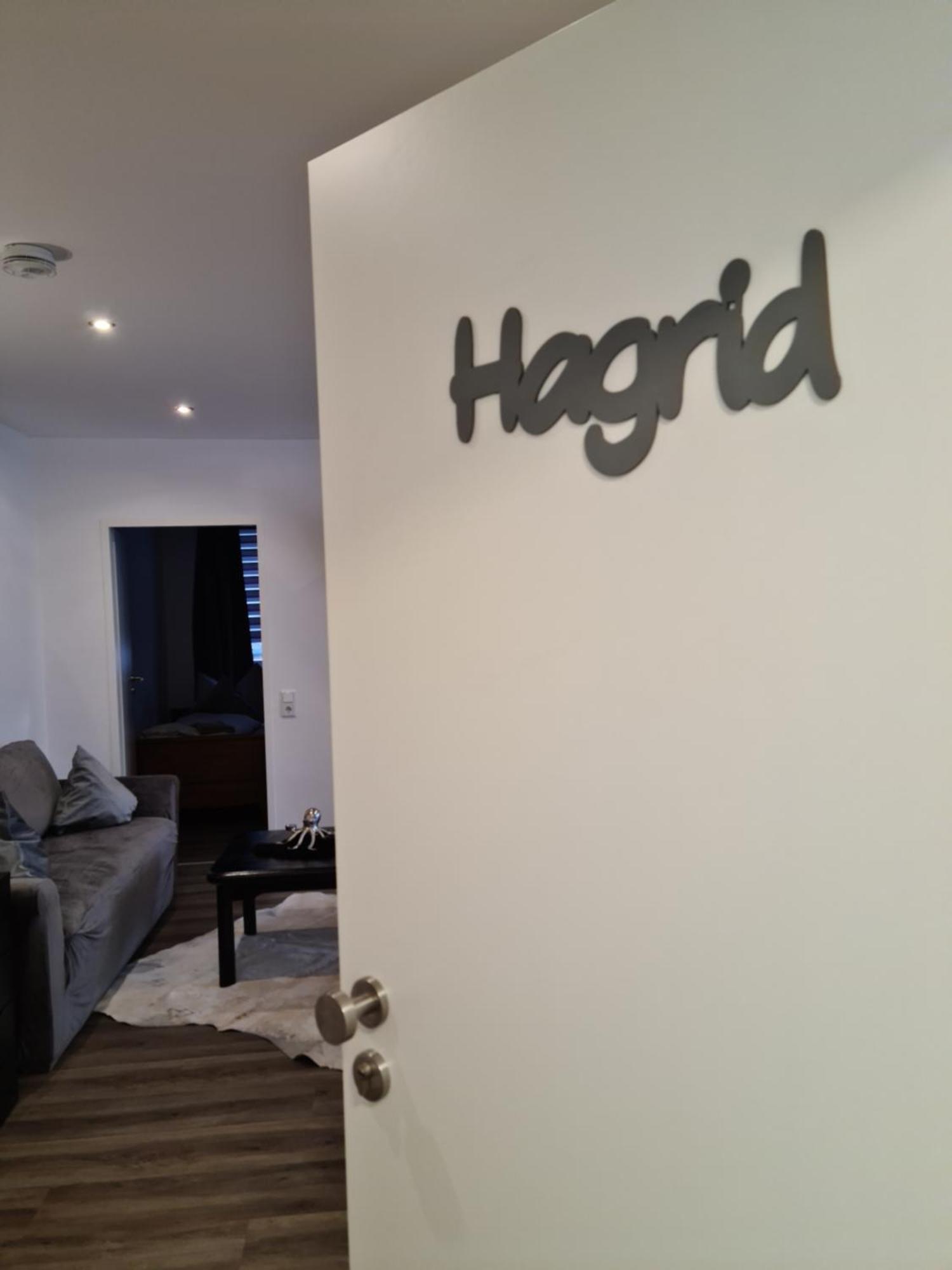 Pilgrims "Hagrid" 2 Sz, Balkon, Kueche, Bad, Top Wifi Brilon Dış mekan fotoğraf